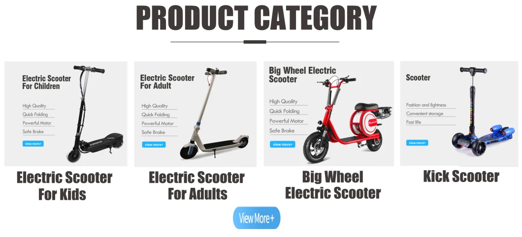 CE Electric for Adults Big Power Electric Scooter