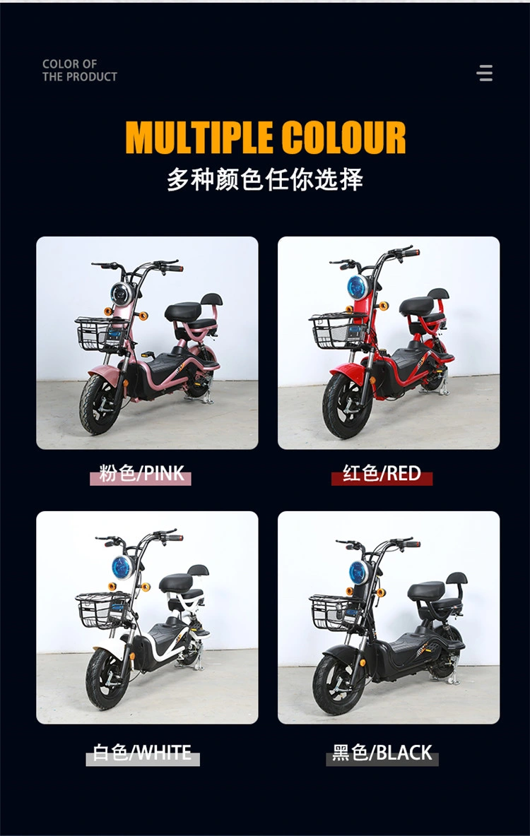 Wholesale/Supplier OEM Ocm 48V 20A/60V 20A Vehicle Lead Acid Battery E Bike MID Drive 500W E Bicycle LCD Display Scooter