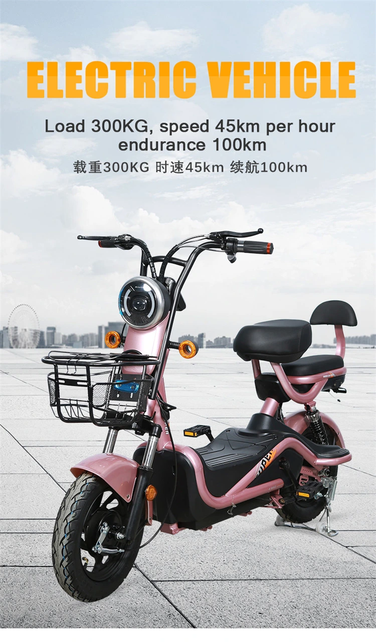 Wholesale/Supplier OEM Ocm 48V 20A/60V 20A Vehicle Lead Acid Battery E Bike MID Drive 500W E Bicycle LCD Display Scooter