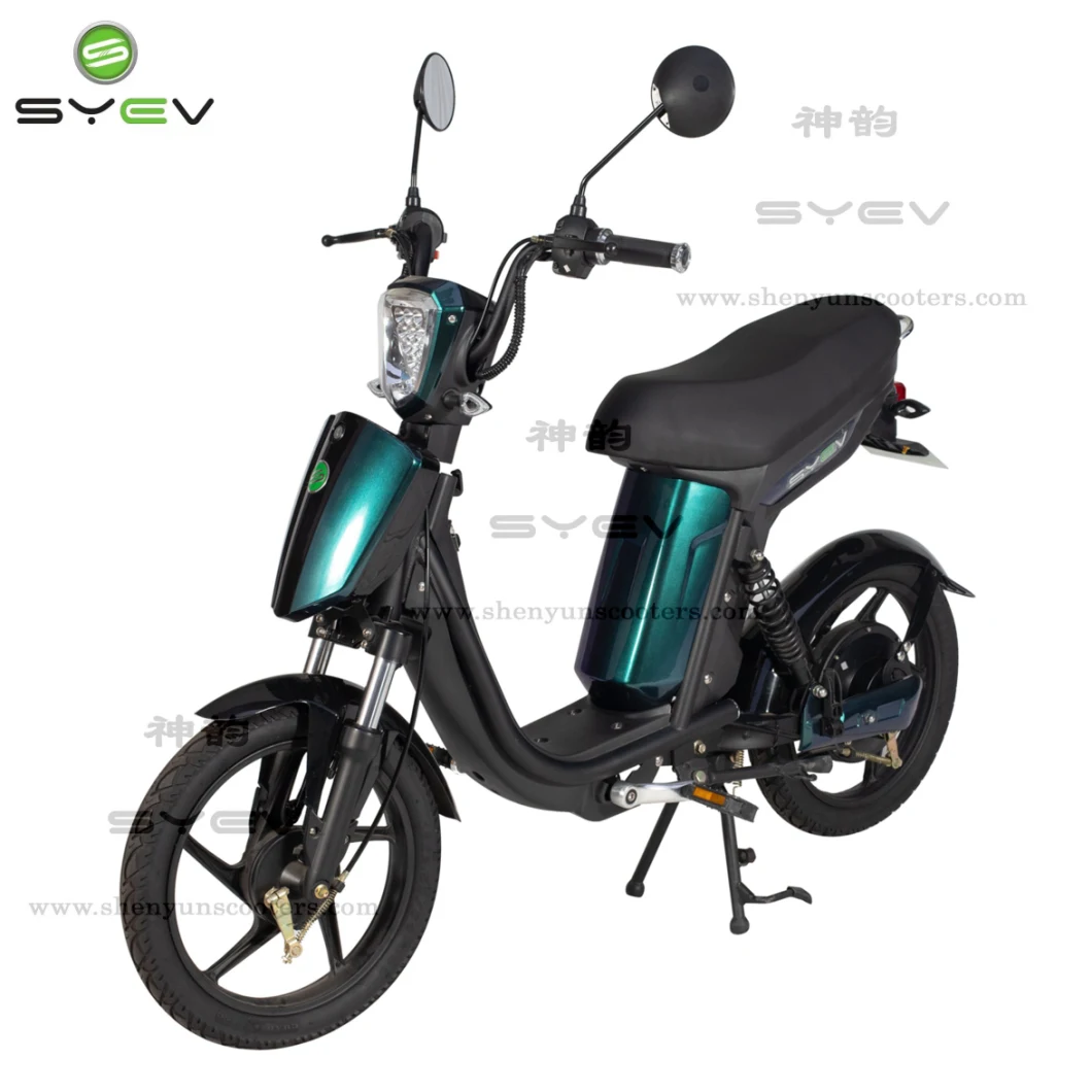 Two Leather Seats Simple Frame 48V Battery Adult Electric Scooter