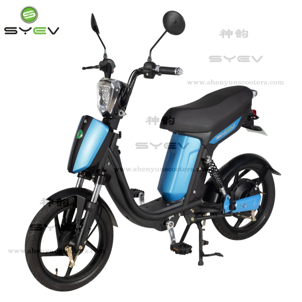 Two Leather Seats Simple Frame 48V Battery Adult Electric Scooter