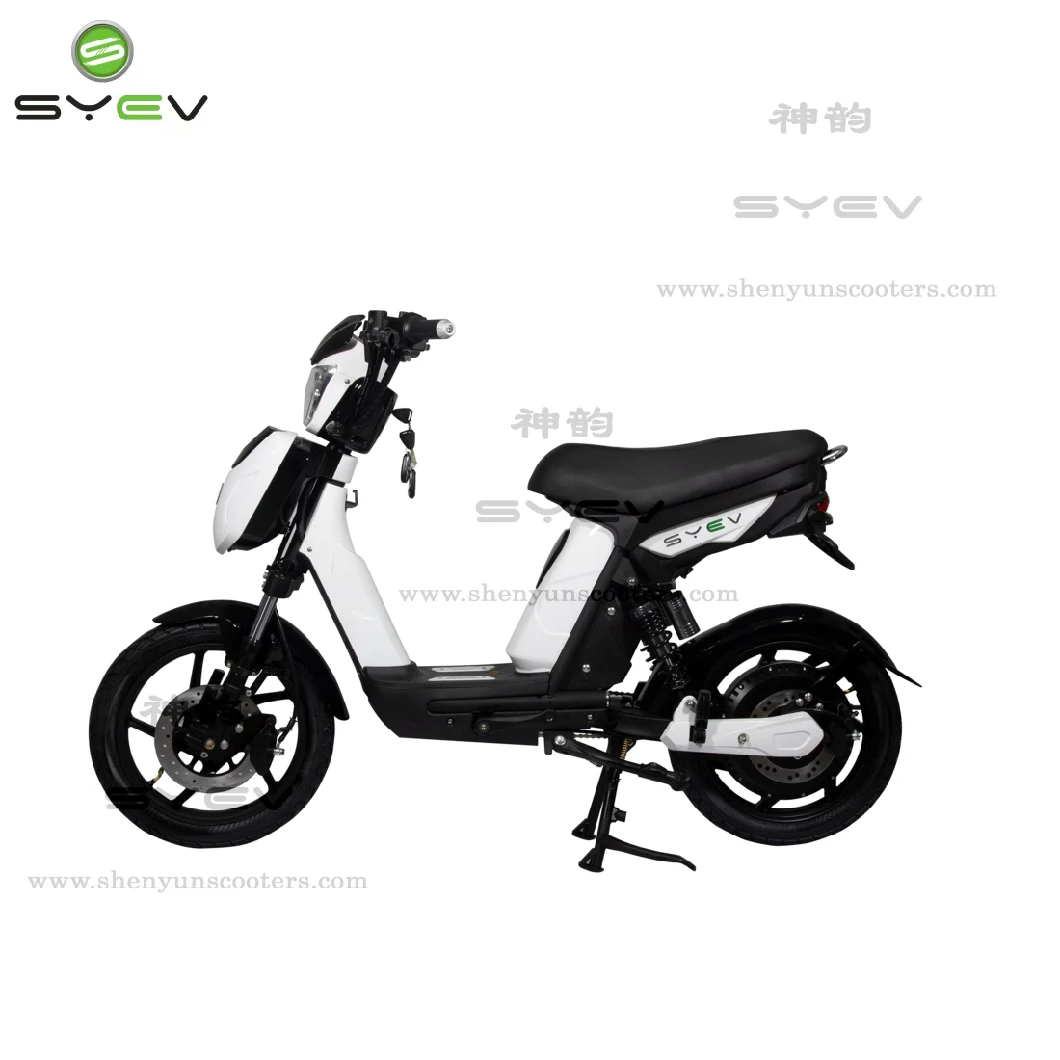 Wuxi Shenyun with E-MARK EEC/Coc Certificate Two Wheels Electric Bike with Pedal Assistance Electric Scooter for Adults Sy-Lxqs-3s
