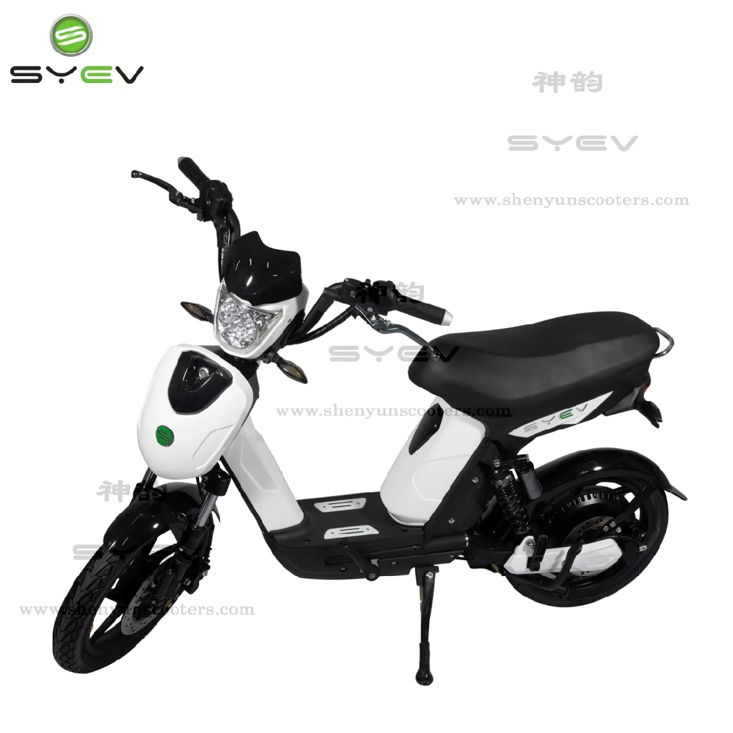 Wuxi Shenyun with E-MARK EEC/Coc Certificate Two Wheels Electric Bike with Pedal Assistance Electric Scooter for Adults Sy-Lxqs-3s